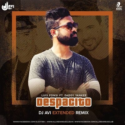 Despacito - DJ Avi Extended Remix