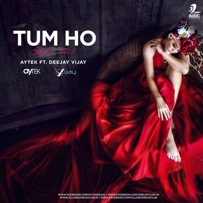 Tum Ho - Redux 2018 - AYTEK Ft. Deejay Vijay