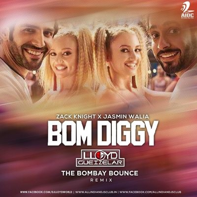 Bom Diggy (Remix) - DJ Lloyd The Bombay Bounce