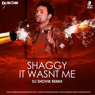 Shaggy It Wasnt Me (Remix) - DJ Shovik