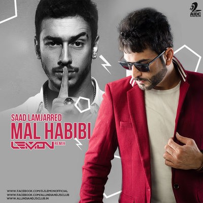 Mal Habibi (Remix) - Saad Lamjarred - DJ Lemon