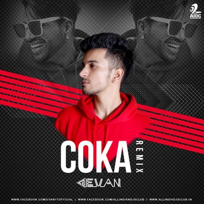 Coka (Remix) - Sukh-E - Evan