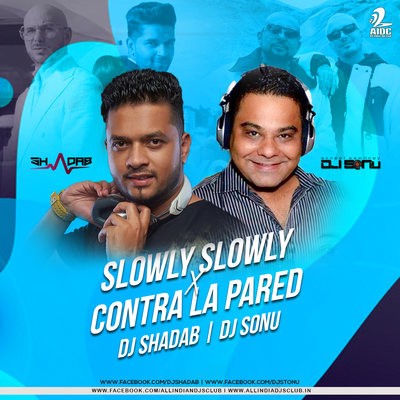 Slowly Slowly X Contra La Pared (Remix) - DJ Shadab & DJ SoNu