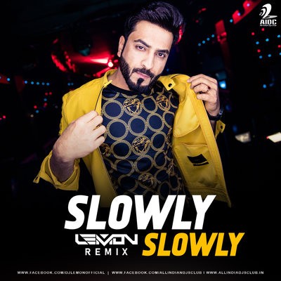 Slowly Slowly (Remix) - DJ Lemon
