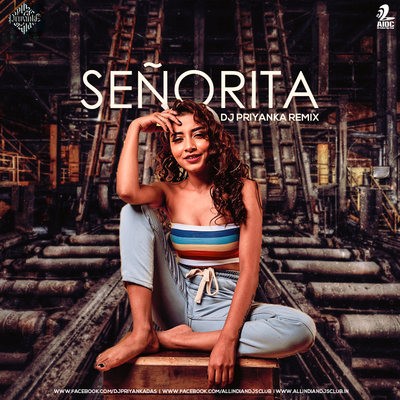 Senorita (Remix) - DJ Priyanka