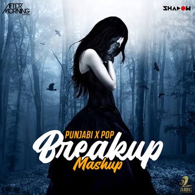 Punjabi x Pop Breakup Mashup - DJ Shadow Dubai x Aftermorning
