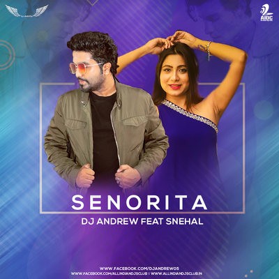 Se&ntilde;orita (Mashup) - DJ Andrew Feat Snehal
