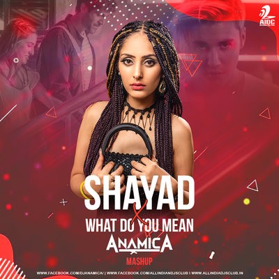 Shayad X What Do You Mean (Mashup) - DJ Anamica