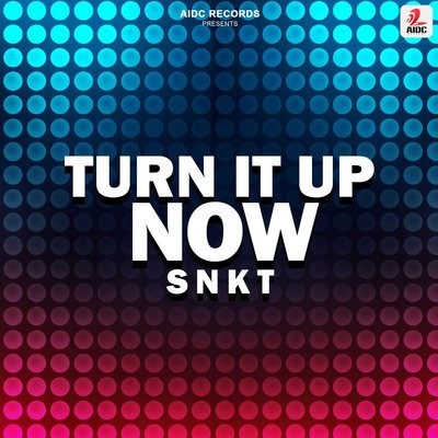 Turn It Up Now - SNKT (Original Mix)