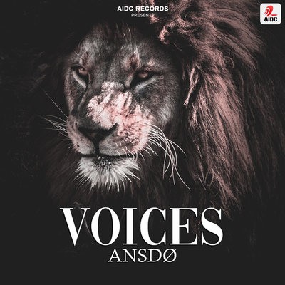 Voices - ANSDØ (Original Mix)