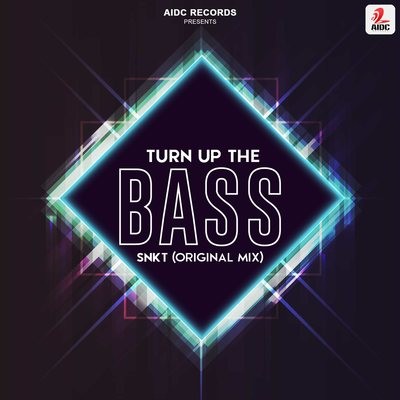 Turn Up The Bass (Original Mix) - SNKT