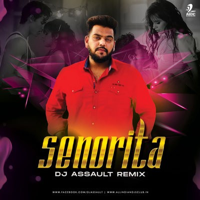 Señorita (Remix) - DJ Assault
