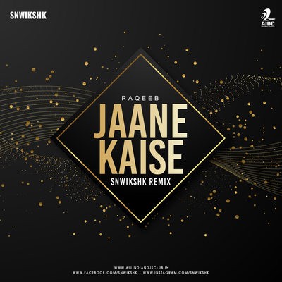 Jaane Kaise (Remix) - Raqeeb - SNWIKSHK