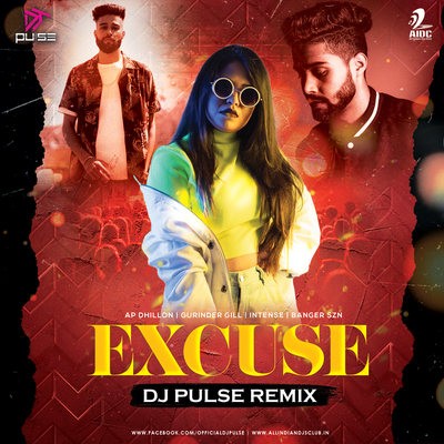 Excuses(Remix) - DJ PULSE