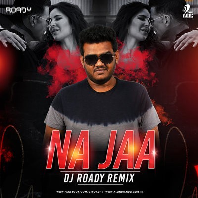 Najaa (Remix) - Sooryavanshi - Roady