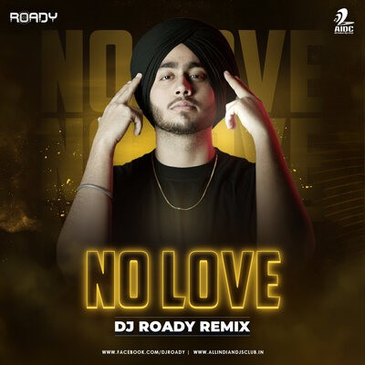 No Love (Remix) - DJ Roady