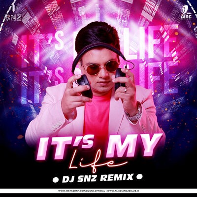 Its My Life (Remix) - DJ SNZ