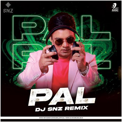 Pal (Remix) - DJ SNZ