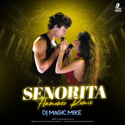 Senorita (Flamenco Remix) - DJ Magic Mike