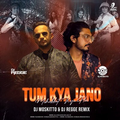 Tum Kya Jano Mohabbat Kya Hai (Remix) - DJ Moskitto X DJ Regge
