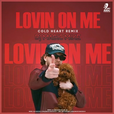 Lovin On Me (Cold Heart Remix) - DJ Magic Mike