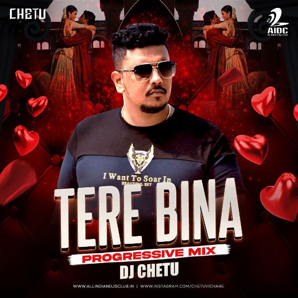 AIDC - Tere Bina (Progressive Mix) - DJ Chetu