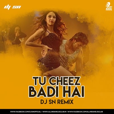 Tu Cheez Badi Hai - DJ SN Remix