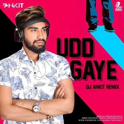 Udd Gaye (Remix) - Ritviz - DJ Ankit