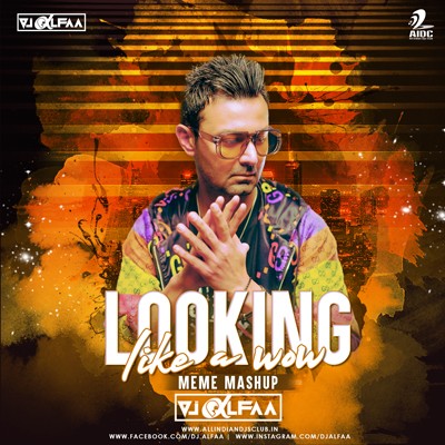 Looking Like a Wow - Meme Mashup - DJ Alfaa